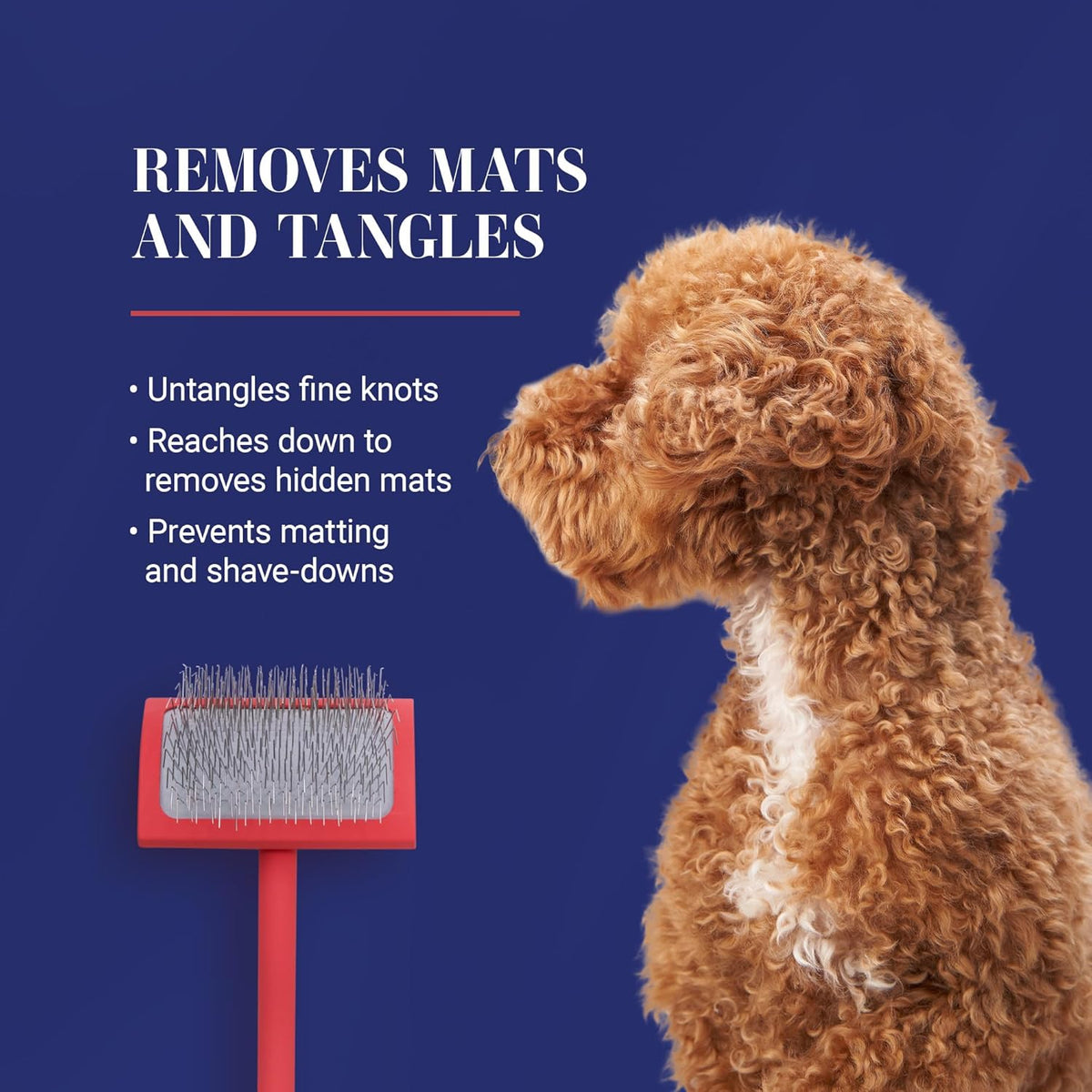 Big G Professional Slicker Brush for Dogs (Goldendoodles, Labradoodles, Poodles) - Efficient Grooming, Fluffing, and Detangling, Coral, Large