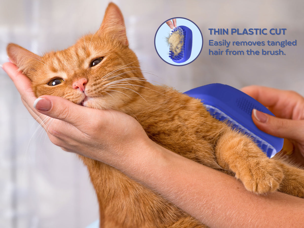 Rubber Dog Bath Scrubber and Grooming Brush with Non-Slip Grip, Blue