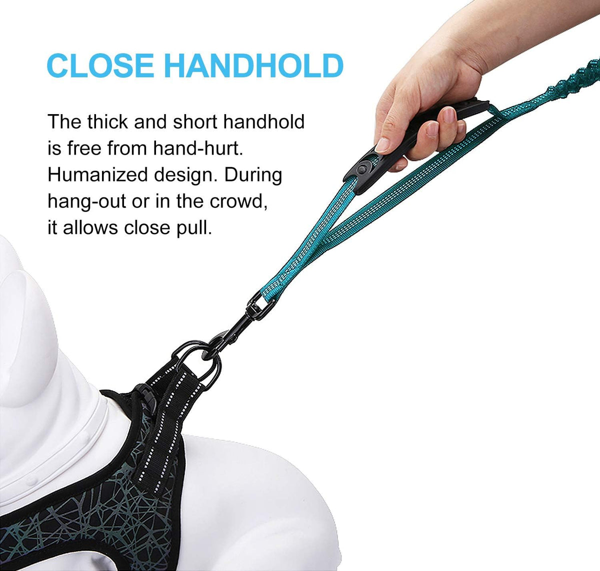 6FT Heavy-Duty Elastic Bungee Dog Leash with Shock Absorption, Padded and Traffic Handles - Ideal for Medium to Large Dogs and Training