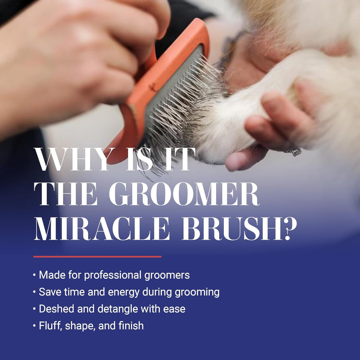 Big G Professional Slicker Brush for Dogs (Goldendoodles, Labradoodles, Poodles) - Efficient Grooming, Fluffing, and Detangling, Coral, Large