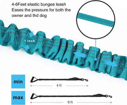 6FT Heavy-Duty Elastic Bungee Dog Leash with Shock Absorption, Padded and Traffic Handles - Ideal for Medium to Large Dogs and Training