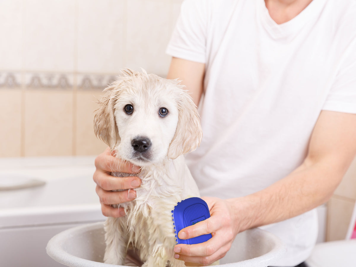 Rubber Dog Bath Scrubber and Grooming Brush with Non-Slip Grip, Blue